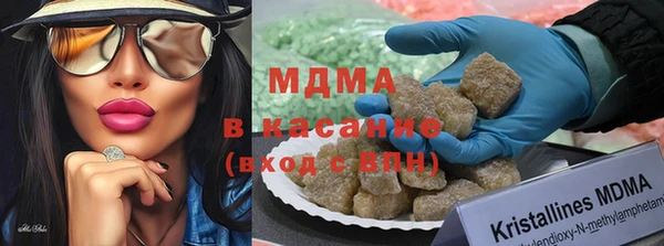 стаф Алексин