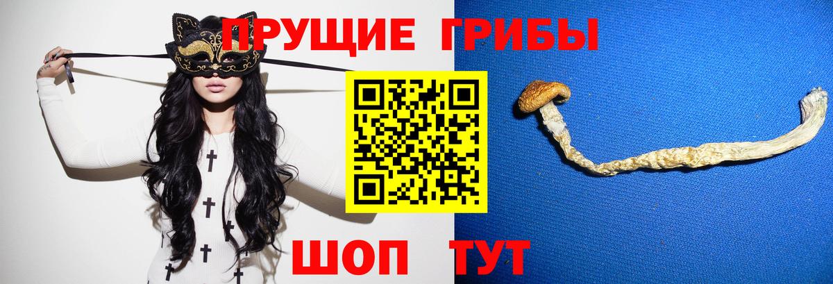 Тюмень  Галлюциногенные грибы ЛСД  Вход с VPN 