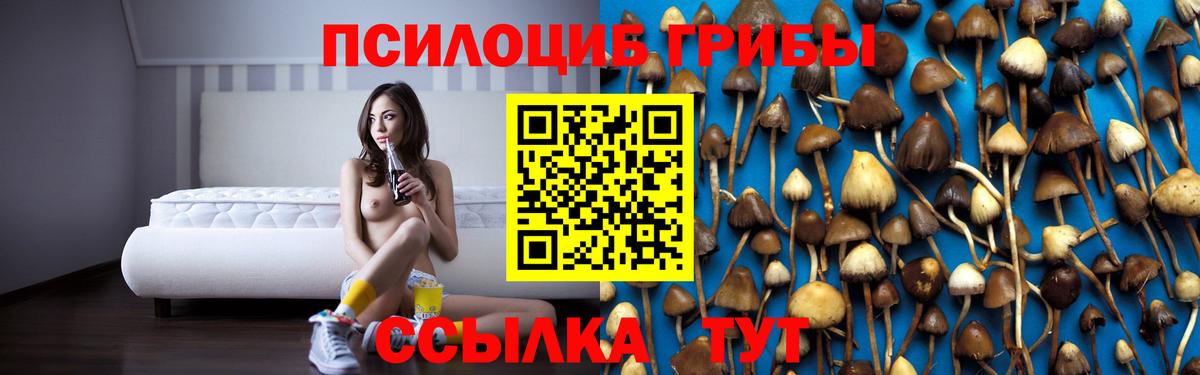 Псилоцибиновые грибы мухоморы Тюмень
